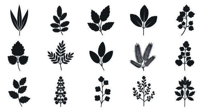 Collection of flat black herb icons including basil, rosemary, thyme, mint, and parsley. Minimalist vector botanical symbols for culinary, organic, and healthy food design assets.