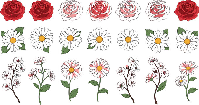 Floral Icon Set with Red Roses, Daisies, and Wild Aster Flowers in Outline and Colored Styles for Wedding, Nature, and Botanical Design Projects