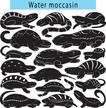 Cute Water moccasin vector illustration, Water moccasin silhouette