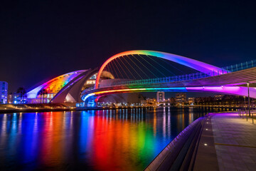 Fototapeta premium Modern arch bridge illuminated with beautiful rainbow neon LED lights reflecting on river water at night