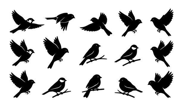 Small Bird Silhouette Vector Collection Set of Flying and Perched Birds Minimal Wildlife Icons