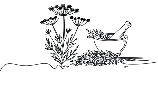 Dill Seasoning Herb illustration with mortar and pestle in elegant one line art style, vector design for cooking, herbal medicine and kitchen graphics.