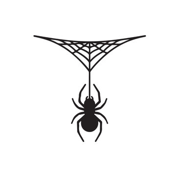 Spider hanging on cobweb on a white background
