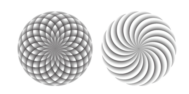 Circle and flower with golden ratio black ans white gradient Background Eps 10