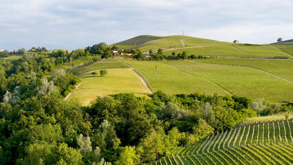 Fototapeta premium Lush Green Vineyards and Rolling Hills in Piedmont Italy Landscape