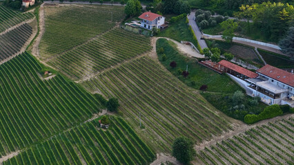 Fototapeta premium Aerial View of Rolling Vineyard Hills and Farmhouses in Piedmont Italy