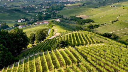 Fototapeta premium Aerial View of Rolling Green Vineyards in the Piedmont Italy Countryside