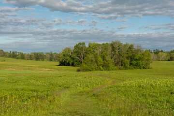 Obraz premium Wide grassy fields at Valley Forge’s Grand Parade, showcasing peaceful natural landscape and historic surroundings in Pennsylvania.