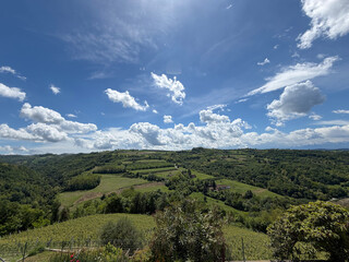 Fototapeta premium Panoramic View of Lush Vineyards and Hills in the Piedmont Region