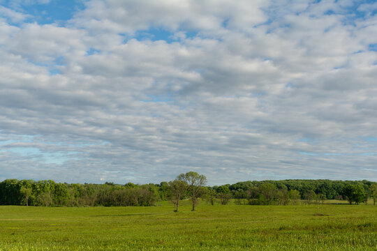 Wide grassy fields at Valley Forge&rsquo;s Grand Parade, showcasing peaceful natural landscape and historic surroundings in Pennsylvania.