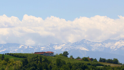 Fototapeta premium Snowy Alps Mountains Behind Green Rolling Hills and Italian Farmhouse