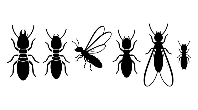 Silhouette illustrations of various flying insects and ants