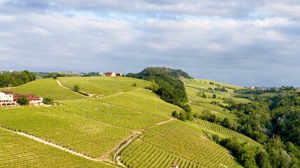 Fototapeta premium Aerial View of Rolling Green Vineyards and Hills in Piedmont Italy