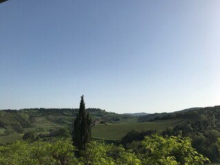 Fototapeta premium Rolling Green Hills and Cypress Trees in the Tuscany Countryside