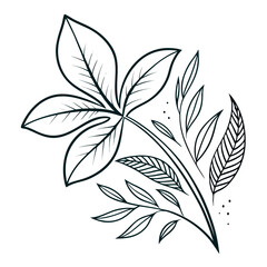 Fototapeta premium floral arrangement line art illustration with leaves and stem on white background
