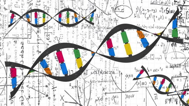 On scene load stylized helices sliding, tilting and crossing math, forming looping science backdrop