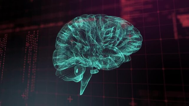 Startup activating teal wireframe brain rotating, pulsing, tilting to visualize neural data