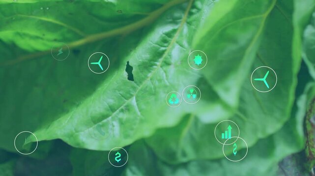 Plug icon appearing, eco icons clustering and cascading over leaf, visualizing energy and CO2 data