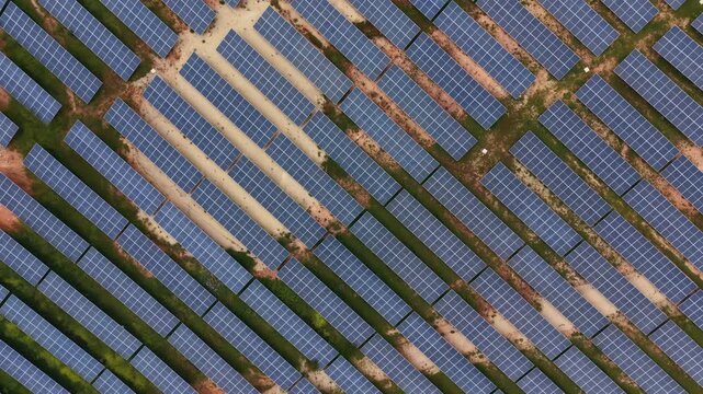 Top-down view of a large solar energy farm with rows of blue photovoltaic panels separated by dirt paths and green vegetation, generating renewable electricity