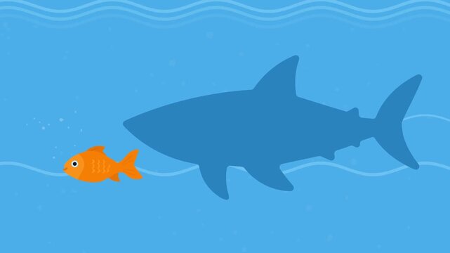 Concept Of Hidden Strength, Ambition, Confidence, Danger, and Business Mindset, Growth And Personal Transformation. Small Orange Fish Swimming Underwater With A Large Shark Shadow Behind It. 