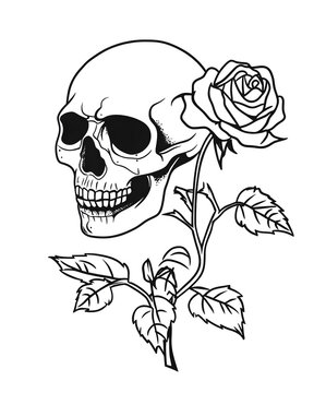 Minimal Human Skull and Rose Outline Tattoo Style Illustration