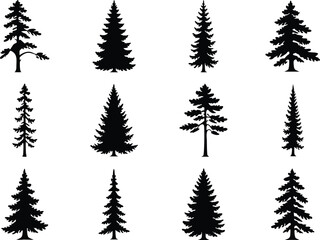 Obraz premium Pine tree silhouette vector set, fir tree vintage forest nature evergreen collection illustration