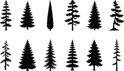 Fototapeta premium Pine tree silhouette vector set, fir tree vintage forest nature evergreen collection illustration