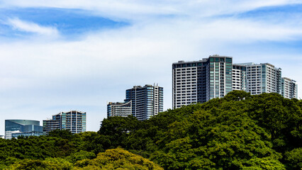 Fototapeta premium 都心散歩 浜離宮からの都市景観