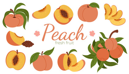 Fototapeta premium Fresh juicy peach fruit collection with whole peaches, halves, slices, branch with leaves. Summer food design element isolated on white background for food design, packaging, menu, stickers, prints.