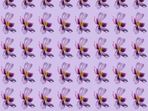 A seamless pattern featuring purple anemone flowers. with yellow centers, arranged in a regular grid. A seamless pattern featuring purple anemone flowers (Anemone spp. The background is a soft lavende