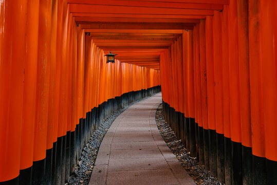 View of the iconic vermilion torii gates at Fushimi Inari Taisha forming a tunnel over a stone path in Kyoto, Kyoto, Japan.