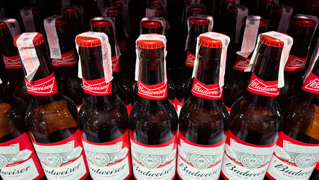 Budweiser beer bottles arranged in a row with tax stamps on caps in a retail display on January 16, 2026 in Bangkok, Thailand