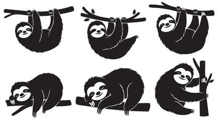 Fototapeta premium Sloth hanging and resting on tree branches