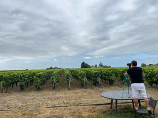 Fototapeta premium Man using a tripod to photograph rows of grapevines in Bordeaux