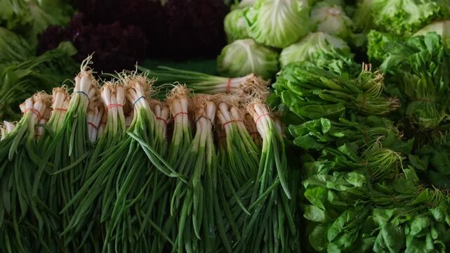 Fresh scallions and leafy lettuce, bundled roots on organic market stall, vibrant green tones, closeup texture, morning light, healthy food lifestyle, farm