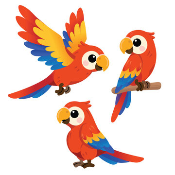 Set of cute scarlet macaw parrot cartoon in different poses: flying, sitting on a branch, and standing. Isolated on white background. Vector illustration.