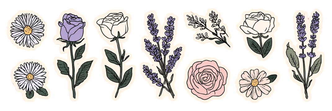 Cole&ccedil;&atilde;o de ilustra&ccedil;&otilde;es bot&acirc;nicas desenhadas &agrave; m&atilde;o, apresentando margaridas, lavanda e rosas em tons suaves, perfeitas para designs florais delicados e naturais.