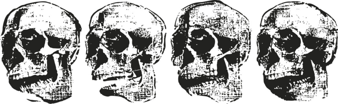 vintage anatomical human skull illustrations in black and white arranged in sequence