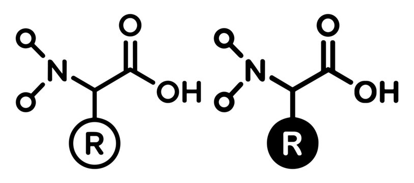Amino acid molecular formula vector icons with filled and outline chemistry science symbols on transparent background