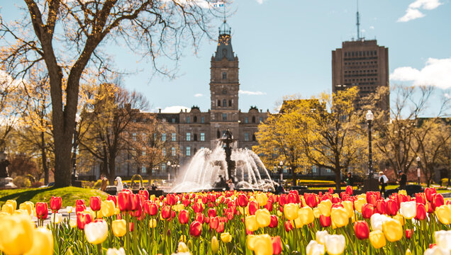 Quebec City Fountain of Tourny Parliament with tulip bed in the foreground