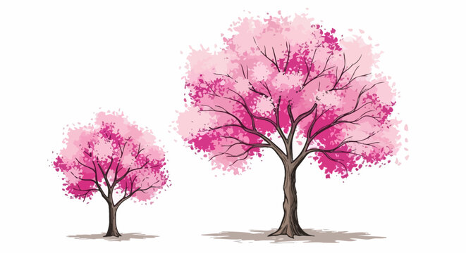 Stylized Pink Cherry Blossom Trees Vector Illustration on White