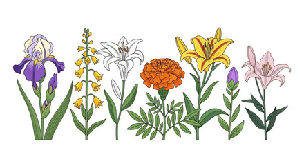 Set of colorful garden flowers in flat vector style © Olivia