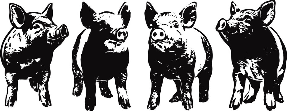 Four black and white piglets standing side by side in vintage ink sketch illustration