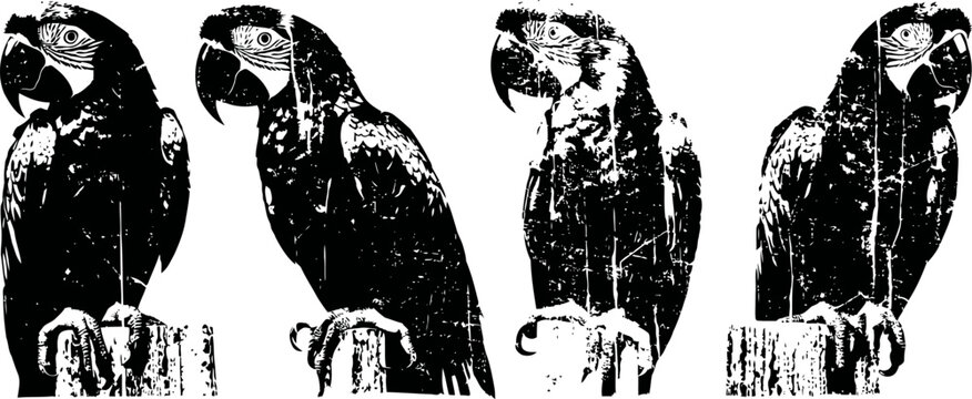 four parrots perched on wooden posts with different postures and feather patterns