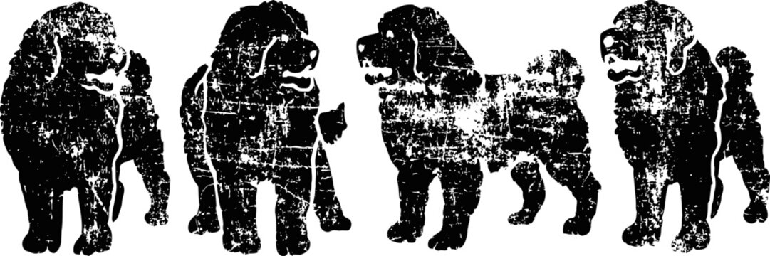 set of large fluffy dogs in standing poses with long fur textures