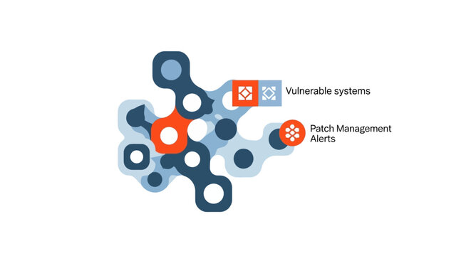 Cybersecurity Patch Management and Vulnerability Assessment Diagram for IT Systems Infrastructure and Network Security