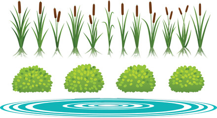 Wetland Plants and Pond Bushes Illustration Set Featuring Reeds, Cattails, Water Ripples, and Natural Landscape Design Elements © EdGe Creative