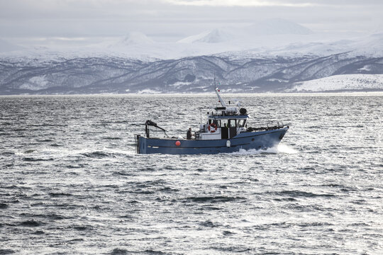 View of a blue fishing boat navigating choppy waters with a fisherman on deck against a backdrop of snow-capped mountains in Tromso, Troms, Norway.