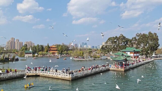 Traditional Chinese architecture and black-headed gulls at Daguan Park on Dianchi Lake, Kunming
