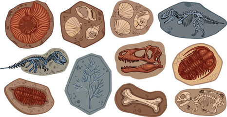 Prehistoric Fossil Illustration Set Featuring Dinosaur Skeletons, Ancient Shells, Trilobites, Bones, and Paleontology Discovery Elements © EdGe Creative